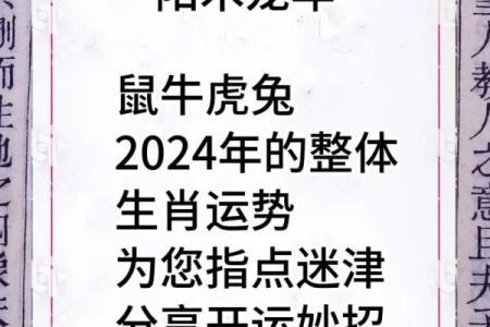 了解每日运程测试，看看你的生肖今天如何