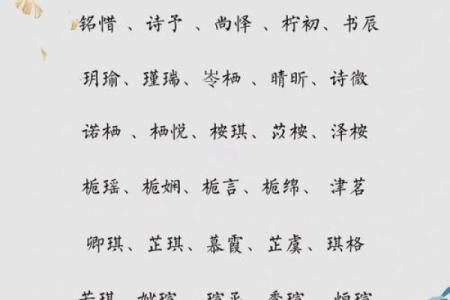 宝宝起名趋势解析：为孩子选择独特且有意义的名字