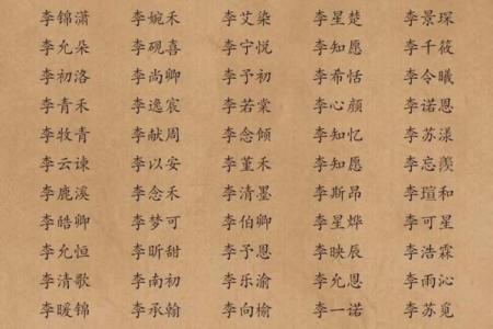 宝宝起名字李周免费方案，助你为孩子取个吉祥名字