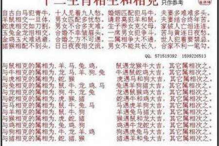 出生的人属狗吗