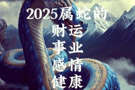 属龙与属蛇的配对解析：是否天作之合？