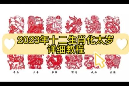 兔男本命年如何通过自我提升化解不顺