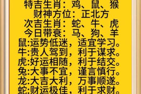 今日生肖运势解析，了解你的每日运程