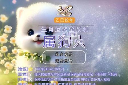 生肖狗运程全面解析