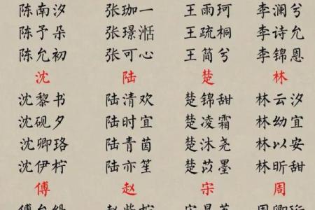宝宝名字排行大揭秘：父母选择的趋势是什么