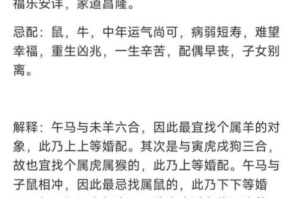 马年出生者的生肖配对建议 马年出生者的生肖配对建议