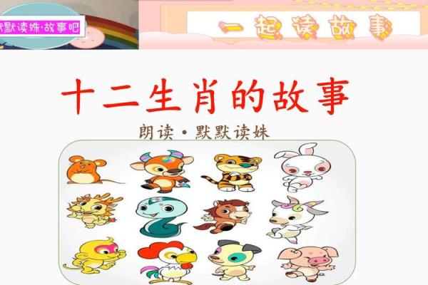 属于哪个生肖 探索生肖背后的故事 属于哪个生肖 探索生肖背后的故事