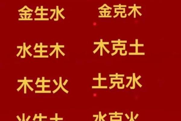 檳字五行解析:揭示其独特的命理能量 檳字五行解析:揭示其独特的命理能量