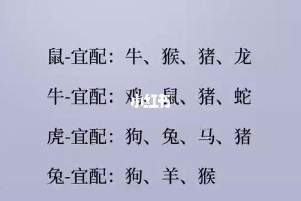 属狗男女的爱情配对解析 属狗男女的爱情配对解析