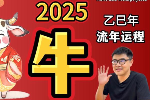 牛年每月运势大揭秘，属牛人的幸运与挑战