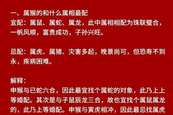 生肖配对:男属龙与女属猴的缘分解析 生肖配对:男属龙与女属猴的缘分解析