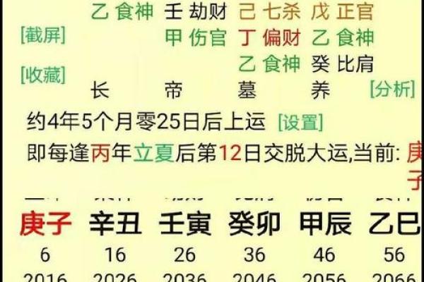 出生的人五行属什么命,如何影响命运走势 出生的人五行属什么命,如何影响命运走势