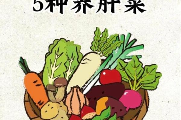 菜字五行解析:揭开它背后的神秘含义与影响 菜字五行解析:揭开它背后的神秘含义与影响