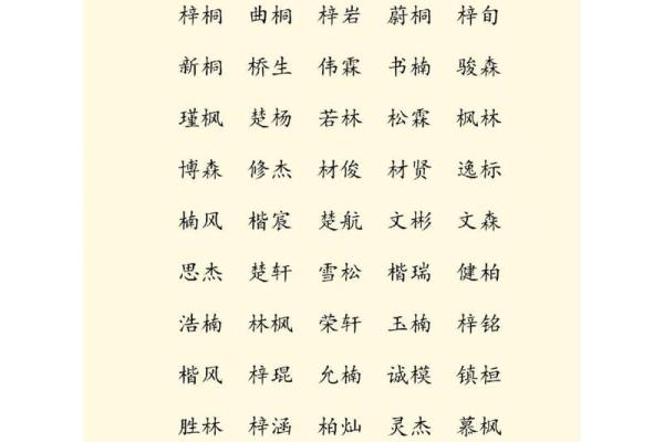 从缺木到有木：为公司起名的灵感与技巧