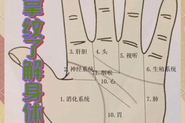 富贵命的手掌印:如何识别 富贵命的手掌印:如何识别