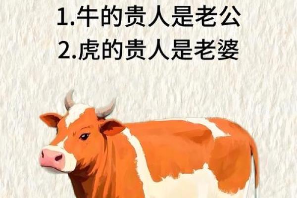 属牛男与属鼠女的婚姻契合度探讨 属牛男与属鼠女的婚姻契合度探讨