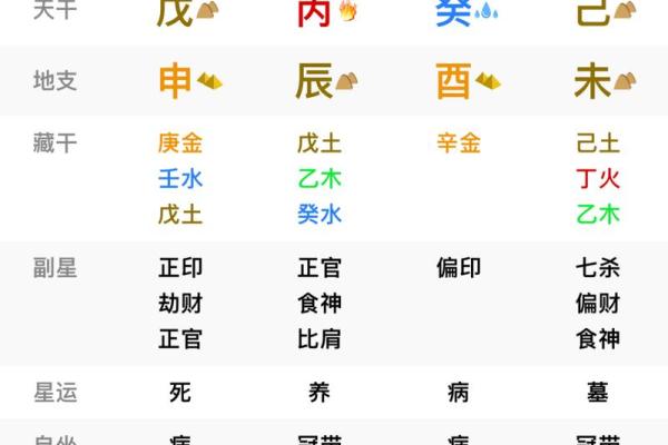 出生的人命运分析与解读 出生的人命运分析与解读