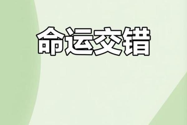 男命双桃花,感情中的复杂性与命运的交织 男命双桃花,感情中的复杂性与命运的交织