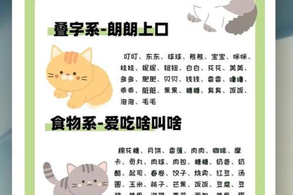 霸气猫咪名字推荐,让你的猫更具王者气质 霸气猫咪名字推荐,让你的猫更具王者气质