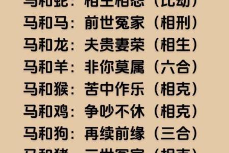 马年出生者的生肖配对建议