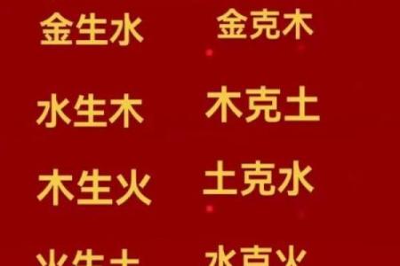 檳字五行解析：揭示其独特的命理能量