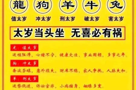 冲太岁命对事业与健康的潜在影响