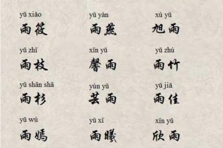 宝宝起名字库 优选现代与传统名字合集