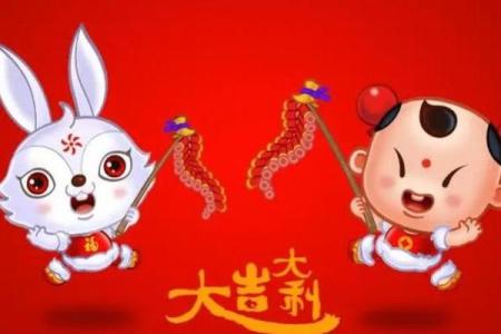 兔男本命年如何提升决策时的准确性