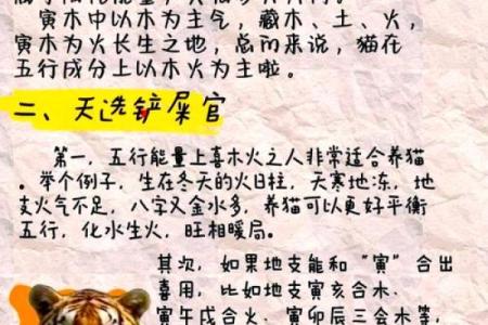 木命属相详解：哪些生肖与木元素相契合