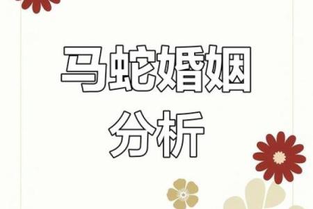 马年女子与龙年男子的关系揭秘 是否天生相配