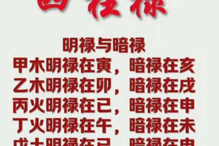 八字命理学的基本概念与应用解析