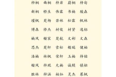 从缺木到有木：为公司起名的灵感与技巧