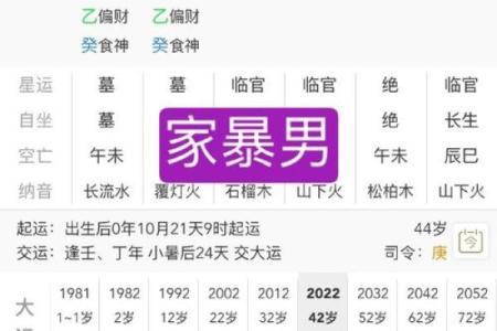酉时出生的人命运如何？了解八字对你未来的影响