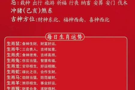 十二生肖运程预测：各个属相的运势变化