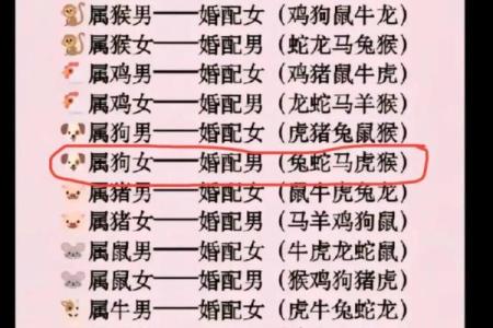 分析女属猴男属鸡的性格合拍程度