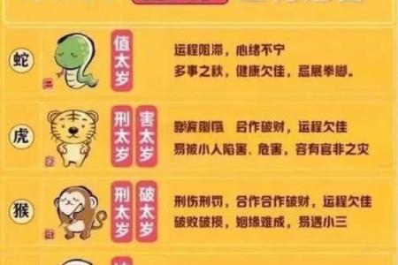 出生的人属虎，解读其生肖特点与命运走势