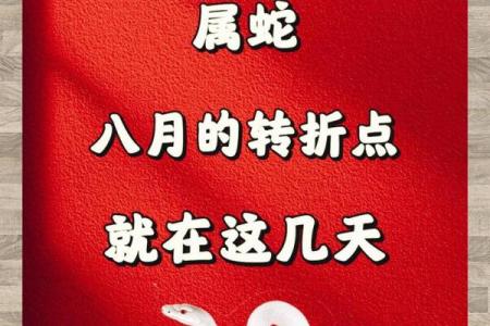本命年蛇女如何化解职场压力