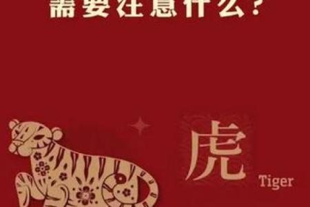 属虎人在本命年如何处理人际关系