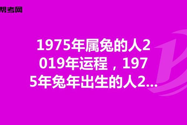 本命年兔男的幸福感提升秘诀 本命年兔男的幸福感提升秘诀