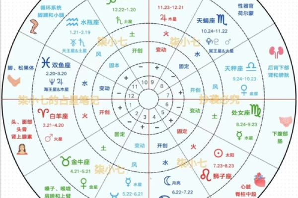 出生的人命运特点与人生轨迹 出生的人命运特点与人生轨迹