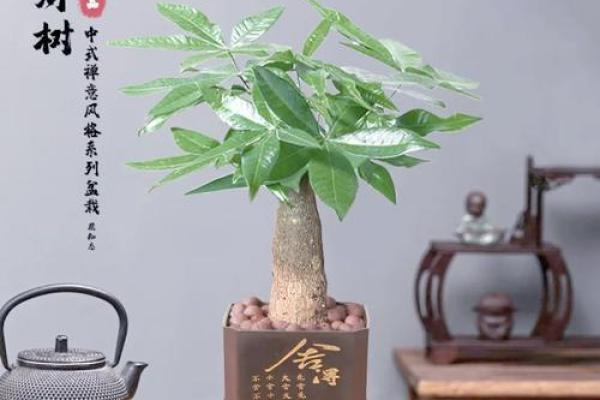 办公风水摆件选择技巧助你提升职场运势 办公风水摆件选择技巧助你提升职场运势