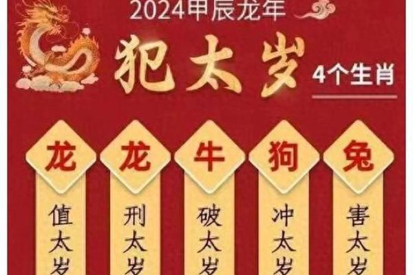羊女本命年如何调整自己的生活节奏 羊女本命年如何调整自己的生活节奏