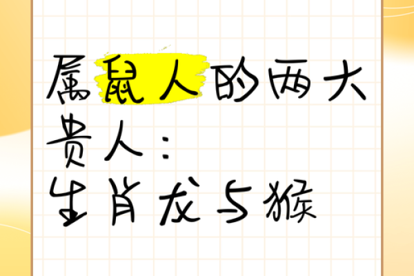 属龙与属鼠婚姻配对的优势与挑战 属龙与属鼠婚姻配对的优势与挑战