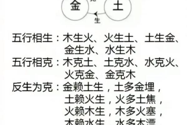 出生的生肖属什么及命理分析 出生的生肖属什么及命理分析
