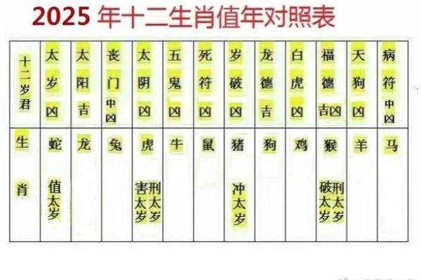 出生属相与命运走向的深度解析