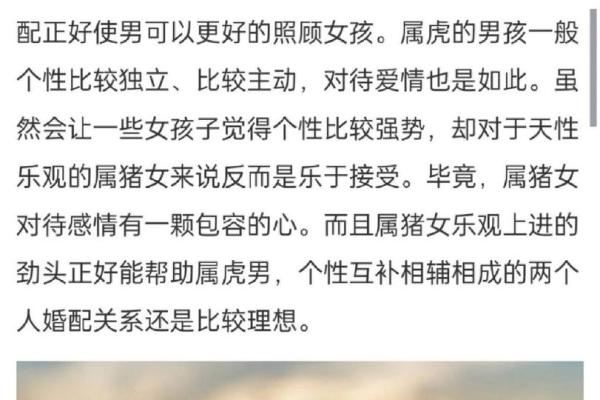 属虎与属猪的性格匹配度分析及感情建议 属虎与属猪的性格匹配度分析及感情建议