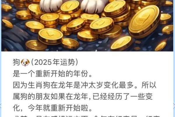 运程分析:不同生肖的命运走势与建议 运程分析:不同生肖的命运走势与建议