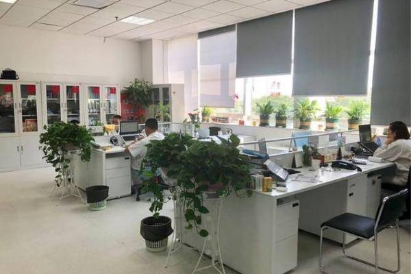 财务办公室风水布局助力公司经济繁荣 财务办公室风水布局助力公司经济繁荣