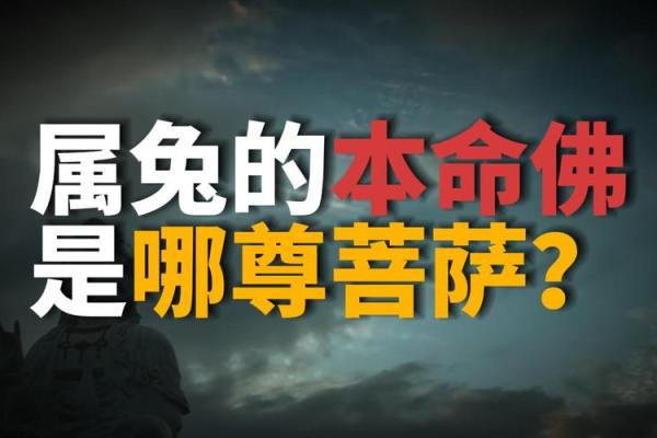 兔男本命年如何处理压力与焦虑 兔男本命年如何处理压力与焦虑