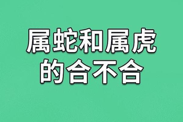 男蛇女鸡的婚姻:从性格到生活的完美契合 男蛇女鸡的婚姻:从性格到生活的完美契合